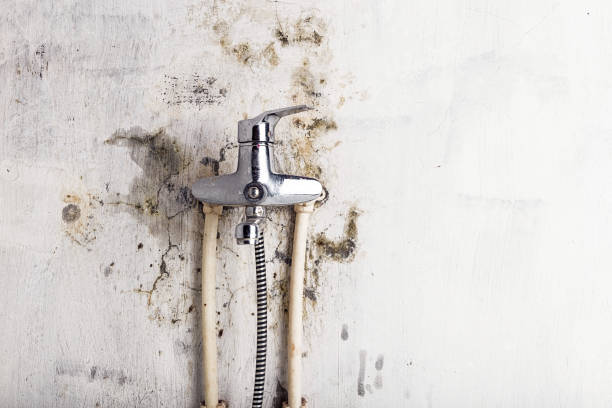Best Office Mold Removal Services  in Kennedy, CA