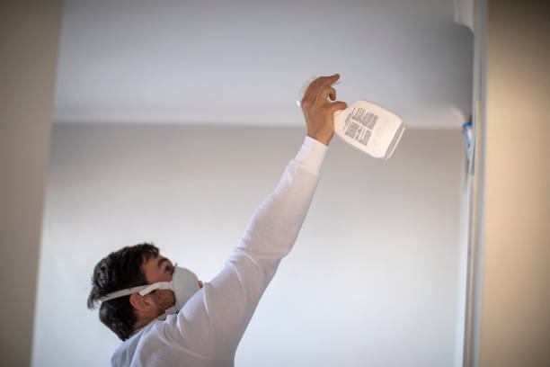 Best Mold Remediation  in Kennedy, CA