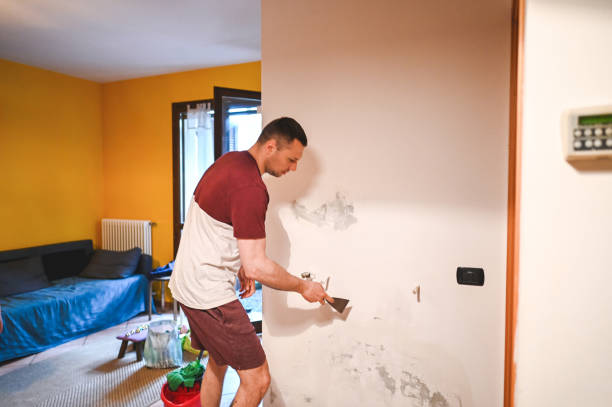Best Toxic Mold Removal  in Kennedy, CA